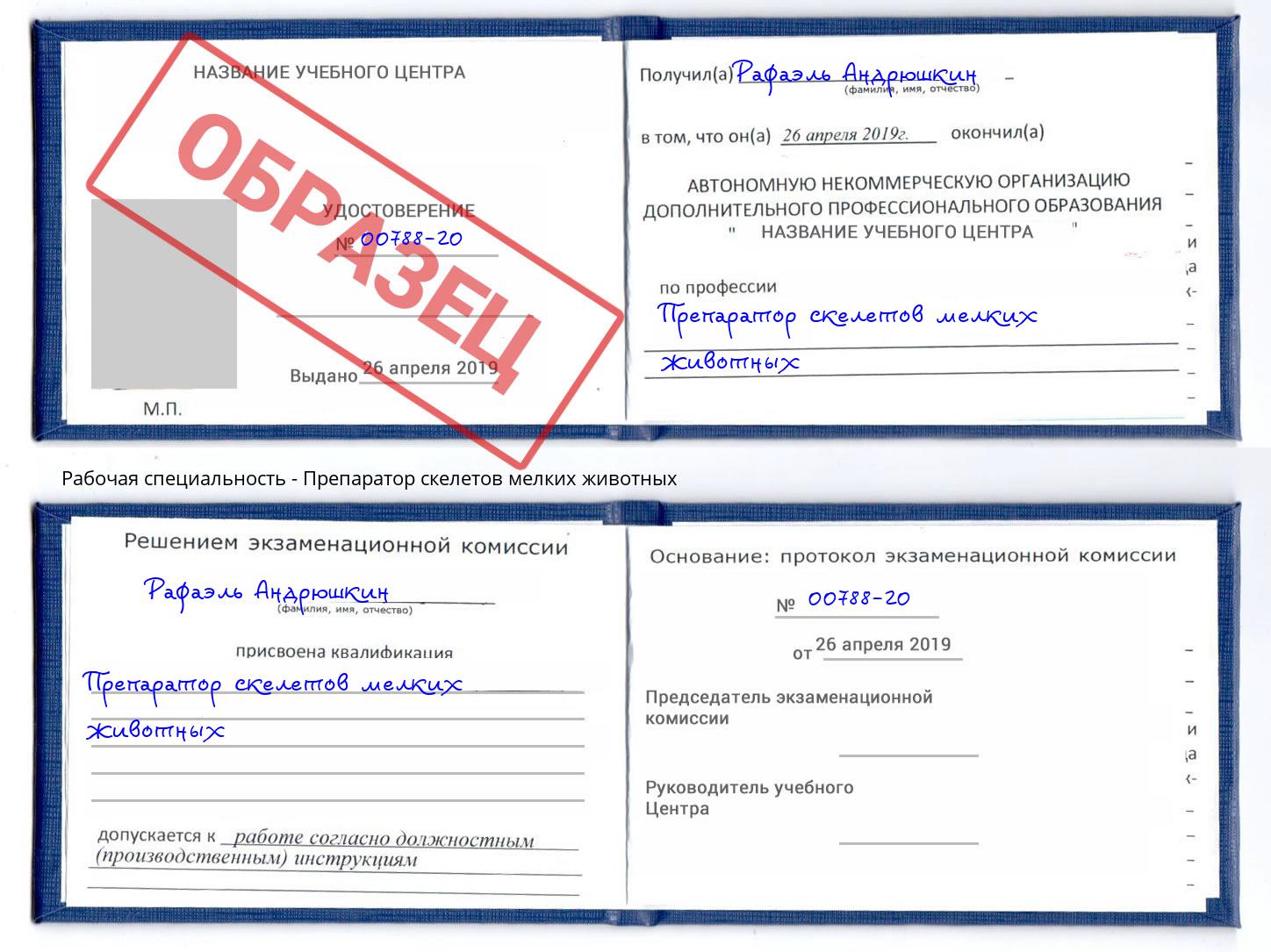 Препаратор скелетов мелких животных Калининград