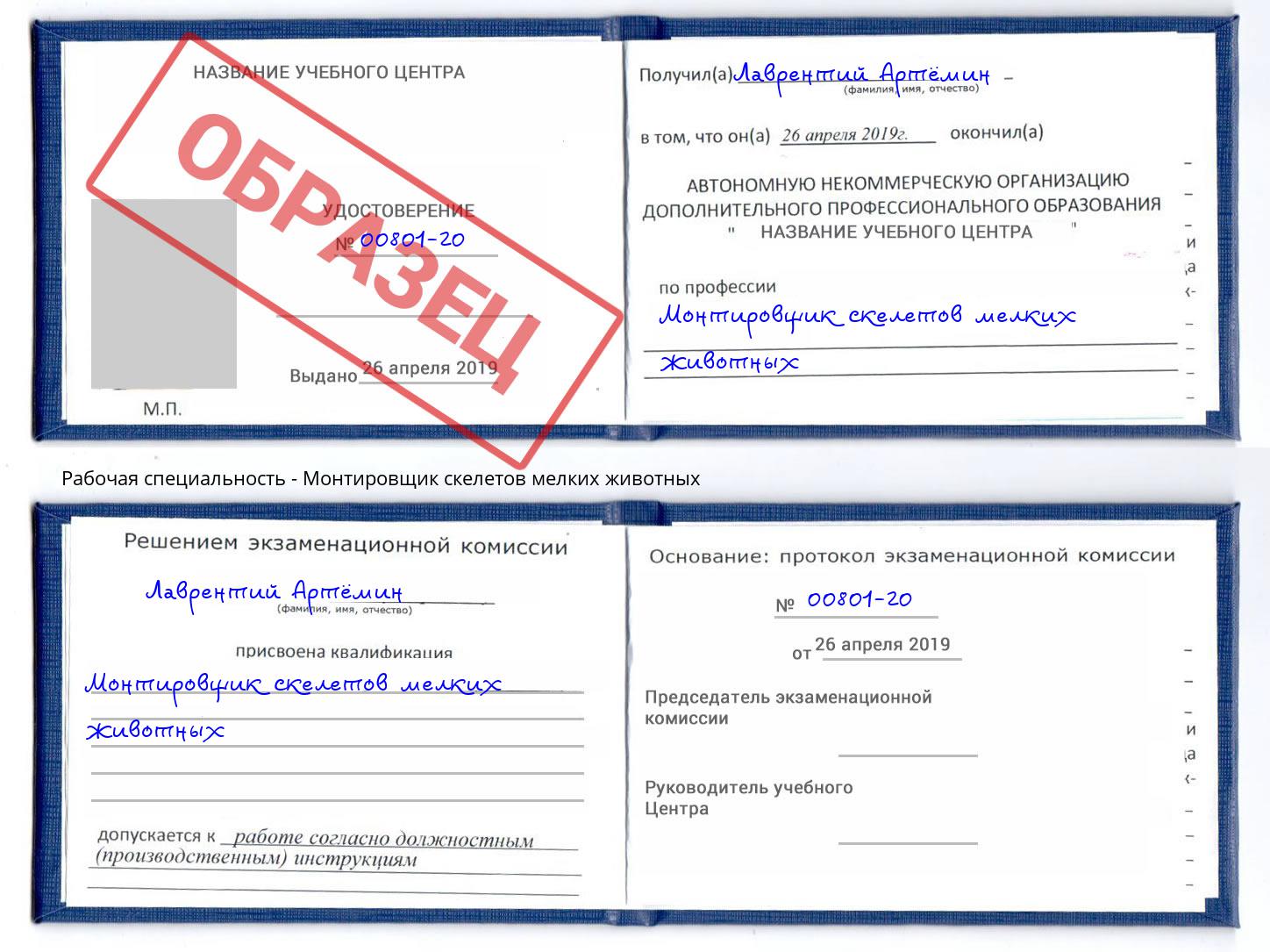 Монтировщик скелетов мелких животных Калининград
