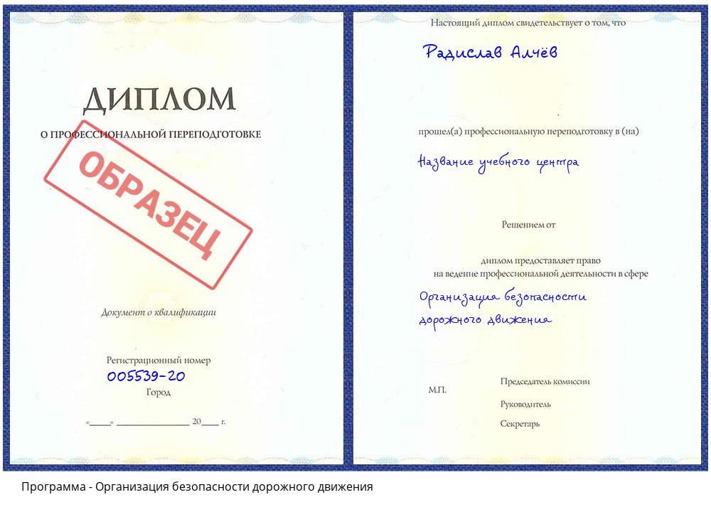 Организация безопасности дорожного движения Калининград
