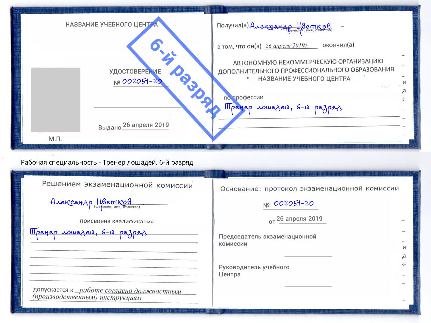 корочка 6-й разряд Тренер лошадей Калининград
