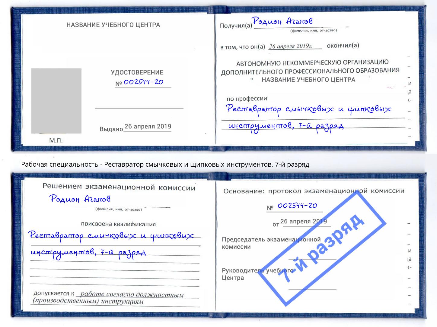 корочка 7-й разряд Реставратор смычковых и щипковых инструментов Калининград