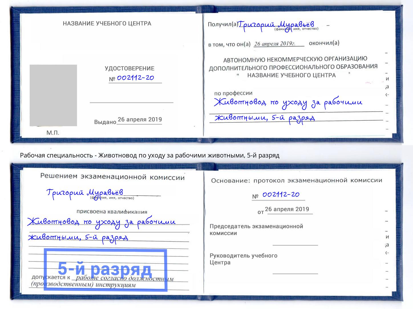 корочка 5-й разряд Животновод по уходу за рабочими животными Калининград